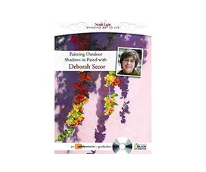 North Light Painting Outdoor Shadows in Pastel with Deborah Secor DVD