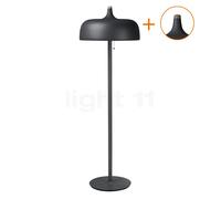 Northern Acorn Lampada da terra