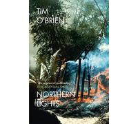 Northern Lights: A Compelling Vietnam War Thriller of Family and Survival