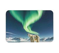 Northern Lights Polar Bear Diatome, tappetini da bagno assorbono l'umidità e lo sporco, zerbino con retro in gomma antiscivolo, adatto sotto la porta, per pavimento del bagno, vasca, doccia, lavandino