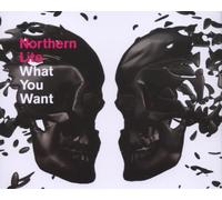 Northern Lite - What You Want