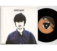 NORTHERN UPROAR - NORTHERN UPROAR / FROM A WINDOW