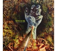 Northless A Path Beyond Grief (Vinyl LP) 12" Album (Gatefold Cover)