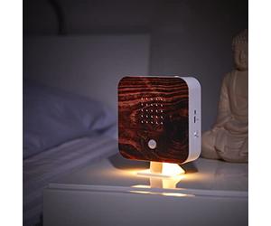 Northpoint Box di Suoni Naturali con Canto di Uccelli, Cinguettìo di Uccelli, Rilevatore di Movimento, Suono di Uccelli, Luce Ricaricabile con Supporto a Parete, Legno Fiammato Quadrato