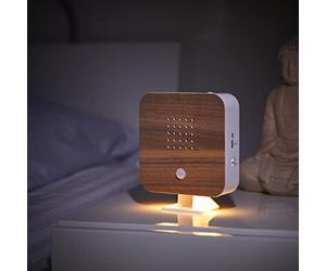 Northpoint - Box per suoni della natura con movimento, canto degli uccelli, cinguettio degli uccelli, sensore di movimento, suono degli uccelli, luce ricaricabile con supporto a parete, faggio