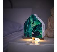 Northpoint Scatola per suoni naturali canto di uccelli Scatola per cinguettio per uccelli rilevatore di movimento suoni di uccelli luce ricaricabile con supporto a parete (foglie di palma, casa)