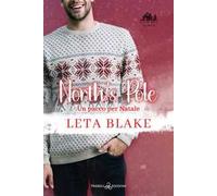 North's pole. Un pacco per Natale. Camp Bay Christmas. Vol. 2