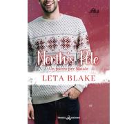 North's pole. Un pacco per Natale. Camp Bay Christmas (Vol. 2)