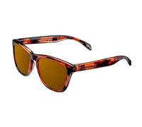 NORTHWEEK Regular Occhiali da Sole Unisex-Adulto, Tortoise