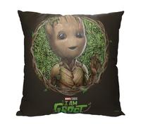 NORTHWEST Cuscino Guardiani della Galassia, 45,7 x 45,7 cm, Groot Frame