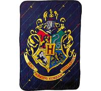 Northwest Harry Potter Micro Raschel Throw Coperta, 116,8 x 152,4 cm, House Pinstripes