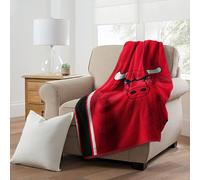 Northwest NBA Polyester Sherpa Throw Blanket 50X60 inch Chicago Bulls