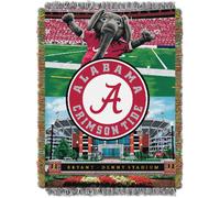 Northwest NcAA Illinois Illini Unisex-Adult Woven Tapestry Throw Blank