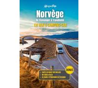 Norvège en van et camping-car : Road trip Scandinavie de Stavanger à Trondheim: Guide complet avec itinéraires, spots vanlife, stationnements, ... pour voyager en fourgon et van aménagé