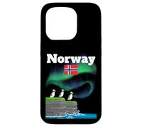 Norvegia souvenir Aurora Borealis Puffin Colony luci polari Custodia per iPhone 15 Pro