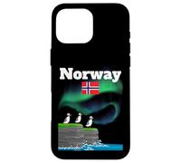 Norvegia souvenir Aurora Borealis Puffin Colony luci polari Custodia per iPhone 16 Pro Max