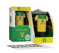 Norwich City 2015 Retro Metal Shirt Collezionabile