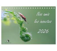 Nos amis les insectes (Calendrier de bureau 2026 DIN A5 vertical), CALVENDO calendrier mensuel: Un regard fascinant sur le monde miniature des insectes.