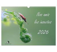 Nos amis les insectes (Calendrier mural 2027 DIN A3 vertical), CALVENDO calendri