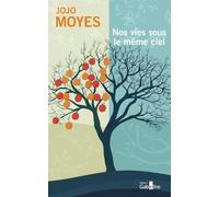 Nos vies sous le même ciel