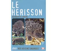 Nos voisins sauvages : Le hérisson : Guerrier des jardins