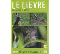 Nos voisins sauvages : Le lièvre : Ce coureur de nature