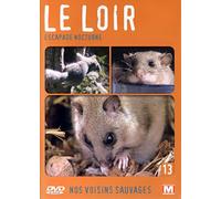 Nos voisins sauvages : Le loir : Escapade nocturne