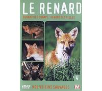 Nos voisins sauvages : Le renard : Renard des champs, renard des villes