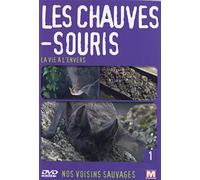 Nos voisins sauvages : Les chauves-souris : La vie à l'envers