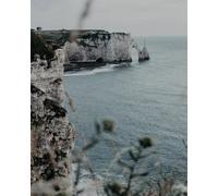 Nose Mountain Coast - Puzzle da 8000 pezzi per adulti, decorazione da parete per la casa, 14 anni+