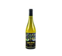 NOSIOLA Vigneti delle Dolomiti IGT Biologico Tappo Vite 2021 - Castel Noarna