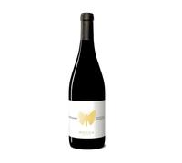 Nostradamus Montepulciano d'Abruzzo Colline Teramane DOCG 2019 - Ausonia