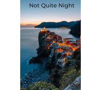 Not Quite Night: A Davanti & Vine Press Journal