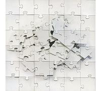 Not Scientists Destroy To Rebuild (CD)