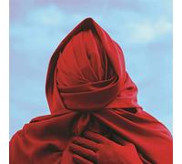 Not Scientists Staring at the Sun (Vinyl LP)