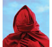 Not Scientists Staring At The Sun (Vinyl LP)