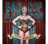 Not Sorry ( audioCD )
