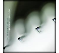 Steve Hogarth & Richard Barbieri Not the Weapon But the Hand (Vinyl LP)