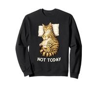 Not Today Lazy Sleeping Tabby Cat Meme Funny Morning Mood Felpa