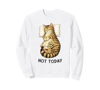 Not Today Lazy Sleeping Tabby Cat Meme Funny Morning Mood Felpa