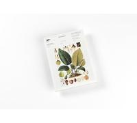 Note pads A5 - Botanical (new edition): Writing Paper & Note Pad A5