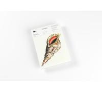 Note pads A5 - Seashells: Writing Paper & Note Pad A5