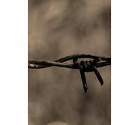 Notebook - Barbed Wire