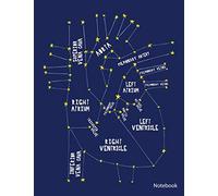 Notebook: Constellation Anatomical Heart on Blue Background