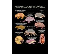 Notebook: Cute Fairy Armadillo, 100 Pages 6 x 9 Wide Ruled Lined Pages Journal Diary For Kids, Teens, And Animal Lovers, Perfect For Notes, Drawing, Writing, And Daily Ideas.