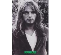 Notebook : David Gilmour Journal Notebook 6x9 110 pages Lined Thankgiving Notebook , Christmas Gift Idea #51