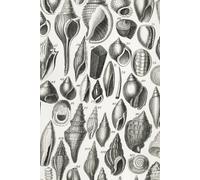 Notebook: Dot Grid / Blank Paper | Journal for Sketching Mixed Media Gratitude Bullet Journaling Scrapbooking | Vintage Shells Cover