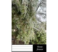 Notebook for School or Personal Use - 50 double-sided sheets, College Rule, 6x9 inch pages giving you 100 pages total: Roadtrip series: This photo ... Winter freeze in Austin, Texas - Part 1