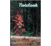Notebook: How Present Actions Impact The Future, Emphasizing Intentional Living And The Significance Of Even Small Efforts.