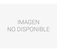 Notebook Lenovo 82YU00TQSP 8 GB RAM AMD Ryzen 5 7520U Qwerty in Spagnolo